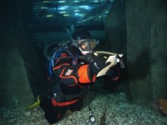 �����Ľ�ѵ�������µĿ־�