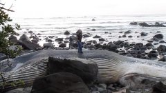 <b>�������Ĳ��鶯��-��ͷ��</b>