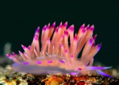 <b>��ʵ��||�����ˮ����������գ�ˮ����Ӱ���㼼��</b>